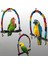 Tahta Çubuk 10CM Tarzı Ahşap Kuş Salıncak Oyuncak Cockatiels Parakeets Kafes Aksesuarları Için Asılı Bells ile Kuş Kafesi Papağan Levrek Standı Oyun Spor Salonu (Yurt Dışından) 3