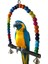 Tahta Çubuk 10CM Tarzı Ahşap Kuş Salıncak Oyuncak Cockatiels Parakeets Kafes Aksesuarları Için Asılı Bells ile Kuş Kafesi Papağan Levrek Standı Oyun Spor Salonu (Yurt Dışından) 5