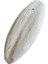 12-15CM 2 Adet Tarzı Uttle Fish Mürekkep Balığı Kemik Evcil Hayvan Muhabbet Kuşları Sürüngenler Kaplumbağa Yemi (Yurt Dışından) 3