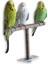 Salıncak Çerçeve Stili Kuş Salıncak, Papağan Kafesi Oyuncaklar, Griler Için Salıncak Oynamak Parakeet Cockatiel Conure, Pet Tırmanma Halatı Net, Kuş Merdiveni (Yurt Dışından) 1
