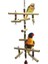 H1-12CM Tarzı Papağan Halat Salıncak Ayakta Bar Pet Kuş Çiğneme Kafes Için Tırmanma Halkası Oyuncak Vogel Produkten (Yurt Dışından) 3