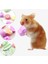 1 Adet Rastgele Stil Mineraller Molar Taş Çiğneme Oyuncaklar Meyve Şekli Ağız Taşlama Oyuncak Kobay Hamster Tavşan Diş Taşlama Taş Pet Molar Taş (Yurt Dışından) 4