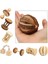 No.7 Tarzı S Beden Sevimli Doğal Ahşap Tavşanlar Hamster Oyuncaklar Çam Dumbells Unicycle Çan Rulo Oyuncaklar Gine Domuzları Için Sıçan Küçük Pet Azı Dişleri Malzemeleri (Yurt Dışından) 2