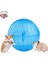 Pembe Tarzı 14,5 cm 14.5cm Pet Kemirgen Fareler Koşu Topu Hamster Gerbil Sıçan Egzersiz Taşınabilir Komik Katı Hamster Koşu Topları Oyuncaklar Oynamak Aksesuar (Yurt Dışından) 2