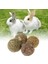 No.3 Tarzı Et Diş Taşlama Topu Doğal Çim Oyuncakları Guniea Pig Rabbit Lla Için (Yurt Dışından) 3