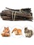 1 Adet Tarzı 8pcsbag Pet Küçük Evcil Hayvanlar Oynarken Tavşan Hamster Kobay Papağan Oyuncaklar Hamster Çiğneme Oyuncak Ahşap Çubuk Dallar Temizleme Dişleri (Yurt Dışından) 2