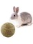1 Adet Tarzı 6 cm Pet Chew Oyuncak Doğal Çim Topu Tavşan Hamster Kobay Diş Temizleme Evcil Hayvan Malzemeleri Için (Yurt Dışından) 3