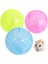 Beyaz Stil 10CM Plastik Pet Kemirgen Fareler Koşu Topu Hamster Gerbil Sıçan Egzersiz Taşınabilir Komik Katı Hamster Koşu Topları Oyun Oyuncaklar Aksesuar (Yurt Dışından) 2