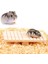 D Stili 4 Tip Evcil Hayvan Oyuncak Hamster Oyuncak Aksesuarları, Kaymaz Oluk Tasarımı, Küçük Hayvanlar Sincaplar Gerbils Fareler Cüceler Sıçanlar, Dinlen ve Oyna (Yurt Dışından) 4