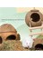 Hindistan Cevizi Evi H Stili Hamster Doğal Hindistan Cevizi Evi Küçük Pet Döken Ev Yatakları Guniea Domuz Çiğneme Oyuncak Hamster Aksesuarları Kuş Kafesleri (Yurt Dışından) 2