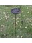 Kuş A Stili Avrupa Vintage Ev Bahçe Dekor Dökme Demir Kuş Deniz Kabuğu Şekilli Kuş Besleyici Uzun Fiş ile Ağır Sağlam Metal Birdbath (Yurt Dışından) 1