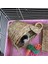 Ahşap Renk Stili Dokuma Hasır Pet Tavşan Hamster Kobay Kafesi Yuvaları Ev Oyuncak Lla Yatak Клетка Для Хомяка (Yurt Dışından) 3