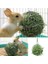 Paslanmaz Çelik Yuvarlak Küre Yem Dağıtım Egzersiz Asılı Saman Topu Kobay Hamster Tavşan Pet Oyuncak (Yurt Dışından) 1