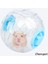 Egzersiz Tekerleği Blues Stili Yüksek Li Hamster Oyuncaklar Koşu Topu Küçük Pet Oyuncak Egzersiz Yapmak Için Komik Hamster Büyük Top Aksesuarları Egzersiz Tekerlekleri (Yurt Dışından) 4
