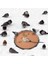 Bir Stil Kuş Banyosu Deicer Isıtıcı Pratik Kış Kümes Hayvanları Termostatik Birdbath Deicer ve Garde K6F8 Için Alüminyum Tabanlı Su Isıtıcı (Yurt Dışından) 5