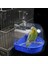 Mavi Stil Kuş Banyo Kutusu Papağan Banyo Kafesi Aksesuarı Küçük Kuşlar Için Parakeet Kanarya Muhabbet Kuşları Lovebirds Şeffaf Üst (Yurt Dışından) 5