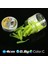 Renkc Stili Peynir Kokusu .3g 4cm Balıkçılık Cazibesi Mini Yumuşak Solucan Karides Jerkbait Balık Okyanus Kaya Cazibesi Bas Yumuşak Balık Kokusu Leurre Souple Yumuşak Yem (Yurt Dışından) 1