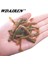 C Stili Lot Worms Yumuşak Yem Jig Wobblers Balıkçılık Cazibesi 5cm 1g Tuz Kokusu Silikon Yapay Yemler Kuyruk Yüzmek Bas Sazan Pesca Mücadelesi (Yurt Dışından) 2