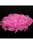 Pembe Tarzı Oft Silikon Karides Balıkçılık Yemleri 2.7cm 0.3g Küçük Açık Yeşil Tatlısu Balık Tutma Glow Karides Yemi Sazan Balıkçılık Pesca (Yurt Dışından) 1