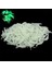 Pembe Tarzı Oft Silikon Karides Balıkçılık Yemleri 2.7cm 0.3g Küçük Açık Yeşil Tatlısu Balık Tutma Glow Karides Yemi Sazan Balıkçılık Pesca (Yurt Dışından) 3