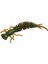 No.7 Tarzı 3g 7.5cm Lot Solucan Larva Yumuşak Yemler 5.5cm.5cmcm Yapay Silikon Yem Jig Wobblers Bas Sazan Pesca Olta Takımı (Yurt Dışından) 1