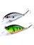 No.5 Tarzı 1 Adet Wobblers Li Crankbait Simülasyon Balıkçılık Cazibesi 5.7 cm 7g Jerkbait Yüzen Sert Yem Bas Sazan Pesca Olta Takımı (Yurt Dışından) 2