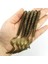 G Tarzı 5pcslot Balıkçılık Solucanları Kıvırcık Yumuşak Lures 10.5cm 3g Pesca Jig Wobbler Yapay Silikon Yem Bas Sazan Isca Swimbaits Mücadele (Yurt Dışından) 1