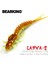 Soğuk Stil 50MM 15 Adet Bearkıng Yeni Larva Yumuşak Yemler Balıkçılık Yapay Yemler Silikon Bas Pike Minnow Swimbait Jig Plastik Yemler Solucan (Yurt Dışından) 2