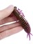 No.2 Tarzı 1.2g 5.5cm Lot Solucan Larva Yumuşak Yemler 5.5cm.5cmcm Yapay Silikon Yem Jig Wobblers Bas Sazan Pesca Olta Takımı (Yurt Dışından) 3