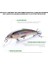 Renk E Stili 70MM 6.7g Vtavta 2ggg Mini Minnow Wobblers Yüzen Balıkçılık Lures Minnow Crankbait Yapay Sert Swimbait Balık Cazibesi Pike Wobblers (Yurt Dışından) 4