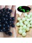 Parlayan 3mm Tarzı 100 Parça Yumuşak Balıkçılık Boncuk Stoper Blackglow Yuvarlak Kauçuk Balıkçılık Lures Rig Aksesuarları Pesca Sazan Mücadele (Yurt Dışından) 2