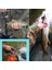 Renk N Stili Fovonon Float Crankbaits Wobbler Derin Balıkçılık Cazibesi C Crankbait Jerkbait Yem Levrek Pesca Mini Wobblers Balıkçılık Lures (Yurt Dışından) 3