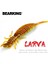 Soğuk Stil 62MM 8 Adet Bearkıng Larva Yumuşak Yemler Balıkçılık Yapay Yemler Silikon Bas Pike Minnow Swimbait Jig Plastik Yemler Solucan (Yurt Dışından) 2