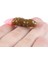 Ben Stil 38MM 18 Adet 1.77G Süper Kıta Pupa Yumuşak Yemler Yumuşak Plastik Yemler Larva Yüzen Tatlı Su Mayoları Silikon Yumuşak Yem Solucan (Yurt Dışından) 3