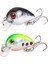 No.4 Tarzı Kaya Yemi Kaya Minnow Balıkçılık Cazibesi G Crankbait Sert Yem Topwater Yapay Wobbler Bas Japonya Fly Balıkçılık Aksesuarları (Yurt Dışından) 2