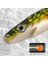 No.11 Stili 200MM 50G Cazibesi2 Adet Hunthouse Pro Domuz Tirsi Balığı Pike Cazibesi G Boya Baskı Cazibesi Kürek Kuyruk Tirsi Balığı Silikon Çorbası Leurre Doğal Misk (Yurt Dışından) 5