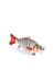 No.12 Tarzı 1 Adet Eklemli Çok Bölümlü Balıkçılık Cazibesi 10CG Wobbler Crankbait Yapay Sert Yem Swimbait Trolling Sazan Olta Takımı (Yurt Dışından) 2