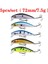5 Adet 55MM 8g Tarzı Proleurre Yüce Karışık Balıkçılık Cazibesi Kitleri Wobbler Crankbait Swimbait Minnow Sert Baiters Sazan Yem Seti Olta Takımı (Yurt Dışından) 3