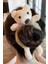 Teddy Bear Peluş Ayıcıklı Kürklü Simit Toka 5
