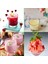 MB1001 250W Blender Bıçakları Mikser Aksesuarları Için 2x ve Düz Tıraş Bıçakları Yedek Parça (Yurt Dışından) 4