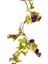 2.2m 25LED Bitkiler Garland Dize Işık Flores Düğün Ev Dekorasyon Çelenk Bırakır (Yurt Dışından) 1