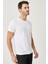3A Moda Classics Slim Erkek Pamuk Bisiklet Yaka Kısa Kollu Tişört 3
