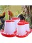 NO.44652 Tarzı Tavuk Kümes Hayvanları V-Şekilli Giriş Yem Kovası Dış Mekan Pratik Kuş Besleyici Suluk Plastik Tohum ve Dağıtıcı N Dropship (Yurt Dışından) 5
