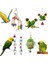 TYPE12-31.5X9.8CM Tarzı Yeni Papağan Halat Asılı Örgülü Muhabbet Kuşu Çiğneme Halatı Kuş Kafesi Papağan Oyuncak Pet Standı Eğitim Aksesuarları Conure Salıncak Malzemeleri (Yurt Dışından) 5