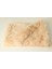 Bej Tarzı 56X36CM Kabarık Mat Uzun Peluş Pet Battaniye Kedi Uyku Paspasları Köpek Kış Sıcak Ince Kulübesi Yastık Yumuşak Büyük Köpekler Için Kapakları Yatak (Yurt Dışından) 1