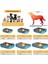 Açık Yeşil Stil S Beden (S-3xl) Büyük Pet Kedi Köpek Yatağı 8colors Sıcak Rahat Köpek Evi Yumuşak Polar Yuva Köpek Sepetleri Ev Mat Sonbahar Kış Su Geçirmez Kulübesi (Yurt Dışından) 5