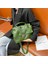 Kırmızı 1 Tarzı 29X7X25CM Ünlü Kadın Çantaları Pu Ain Uzay Pamuk Büyük Kapasiteli Omuz Messenger Lüks Trendy Çanta Yumuşak Kişilik (Yurt Dışından) 3
