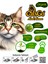 Natural Premium Kedi Kumu 10 lt 3