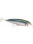 X-Rap Saltwater Maket Balık GGH-120MM 1