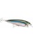 Rapala X-Rap Saltwater Maket Balık BNK-100MM 1